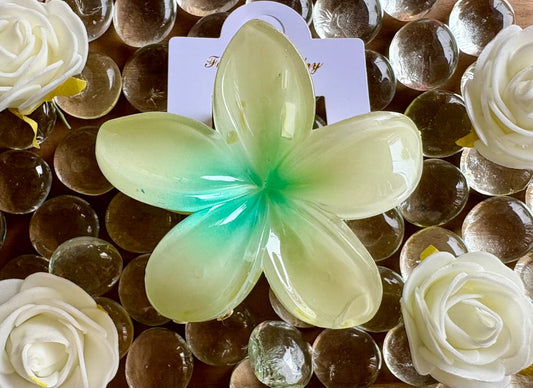 Pince à cheveux fleur